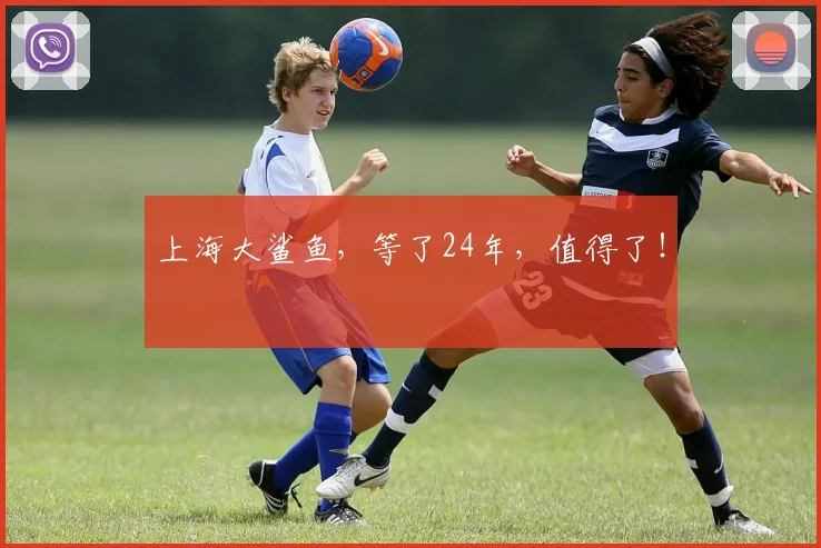 上海大鲨鱼，等了24年，值得了！